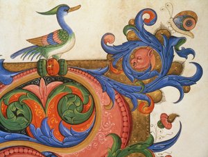 Missale 515 f.92v Zoomorphe Blätter mit vogelähnlichem Vogel und Schmetterling, Detail (Initiale) aus einem Chorbuch