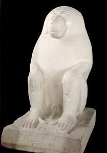 Pavian, Mittleres Reich, möglicherweise 7. Dynastie (Kalkstein)