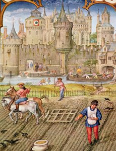 Fol.10v Monat Oktober: Aussaat, aus Breviarium Grimani, ca. 1515