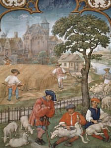 Fol.7v Der Monat Juli: Ernte und Schafschur, aus dem Breviarium Grimani, ca. 1515 von Flemish School