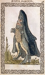 Der Meeresbischof oder Seemonster, Illustration aus Omnium fere gentium nostraeque aetatis Nationum Habitus et Effigies von Jean Sluperji, Antwerpen, 1572 (Farbholzschnitt)