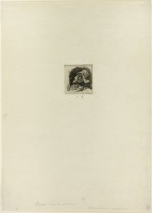 Flämischer Marktgärtner von Félicien Rops