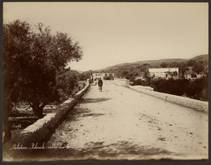 Palästina - Kolonick, Tal des Terebinths