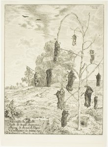 Maulwürfe von Félix Henri Bracquemond