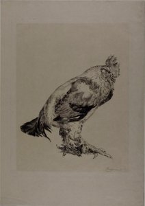 Der alte Hahn von Félix Henri Bracquemond