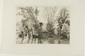 Die Weiden bei Mottiaux von Félix Henri Bracquemond