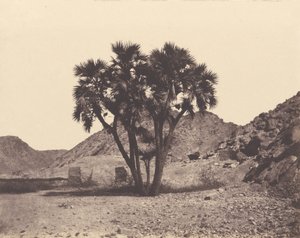 Ägypten und Nubien. Stätten und Monumente...Atlas Fotograf...Zweiter Teil. Nubien