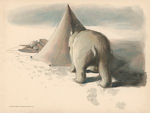 Illustration für Die Golliwoggs Polarabenteuer von Florence K. Upton