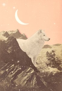 Riesiger Wolf in rosa Bergen, 2021 (Collage) von Florent Bodart