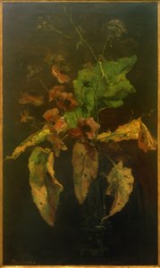Anemonen und Blätter von Floris Verster