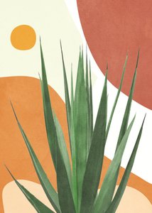 Moderne Wüsten-Agave