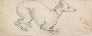 Studie eines Windhundes, Mitte des 19. Jahrhunderts