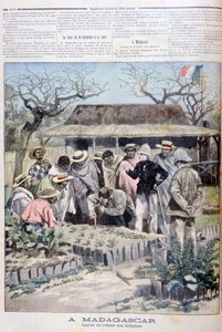 Landwirtschaftliche Lektion für die Ureinwohner Madagaskars, 1897 von Fortuné Méaulle