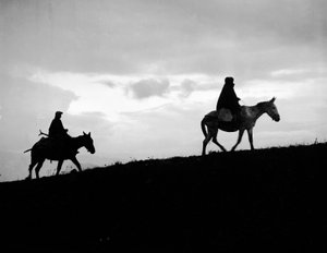 Rückkehr ins Land der Felder