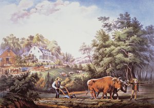Amerikanische Farm Szene