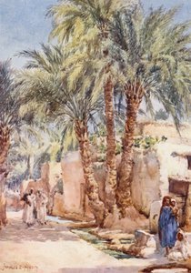 Das Palmdorf von Frances Nesbitt