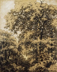 Wald von Fontainebleau