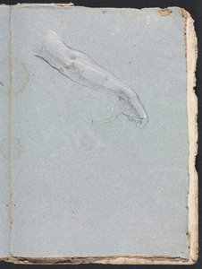 Verona Skizzenbuch: Rechter Arm und Hand (Seite 95)