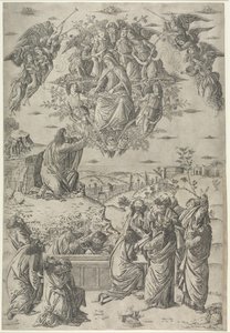 Mariä Himmelfahrt von Francesco Rosselli