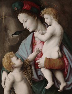 Madonna und Kind mit St. Johannes von Francesco Ubertini Il Bacchiacca