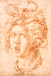Medusa von Francesco de Rossi Salviati Cecchino