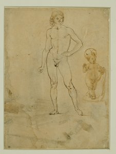 Ein nackter Jüngling, stehend; das Jesuskind; weibliches Porträt nach rechts gedreht