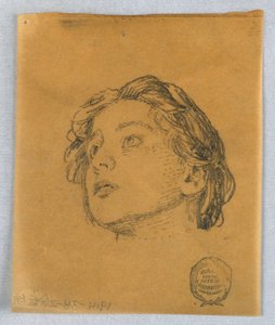Skizze eines Frauenkopfes von Francis Augustus Lathrop