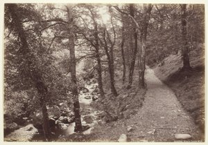Dolgelley, Ansicht im Torrent Walk