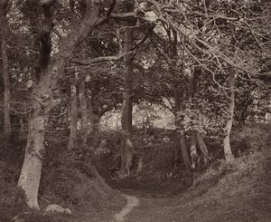 Glen Kenilworth von Francis Bedford