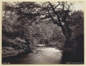 Ivy Bridge, Blick auf den Prysor River, 1860
