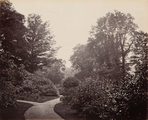 Weg im Alexandra Park