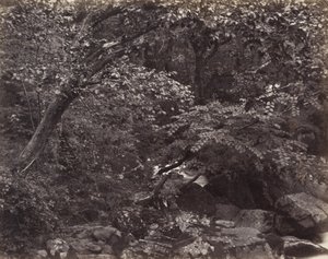 Schlucht bei Lynmouth
