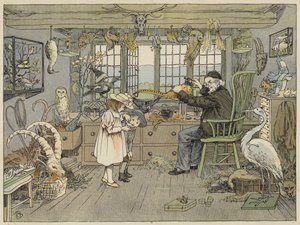 Vogelpräparator von Francis Donkin Bedford