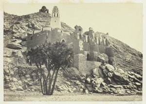 Doum-Palme und zerstörte Moschee, Philä