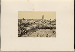 Gaza (Die Altstadt)