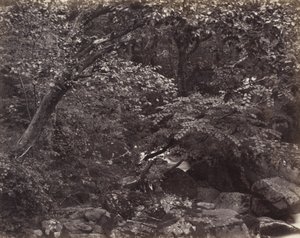 Schlucht bei Lynmouth, 1860er