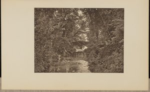 Am Fluss Taunton von Francis Frith and Co.