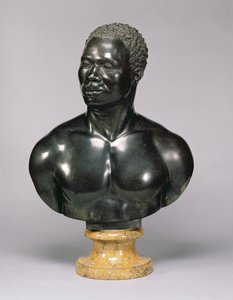 Büste eines Mannes (schwarzer Kalkstein und gelber Marmor) von Francis Harwood