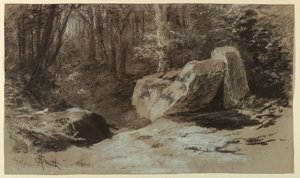 Felsen im Wald