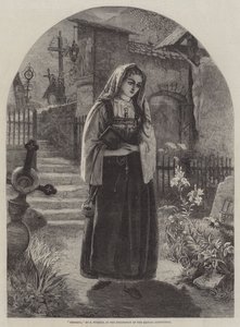 Teresina von Francis John Wyburd