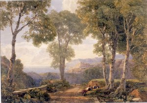Landschaft
