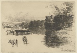 Kühe an einem Fluss