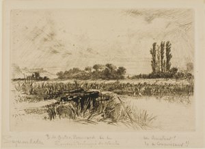 Eine Wasserwiese von Francis Seymour Haden