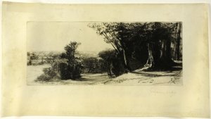 Früher Morgen, Richmond Park von Francis Seymour Haden