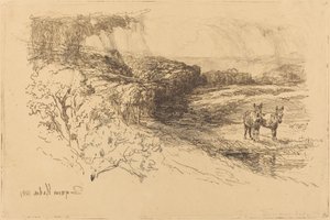 Encombe Woods (Nr.1) von Francis Seymour Haden