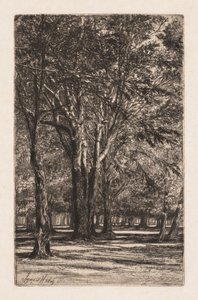Kensington Gardens, Nr. 2 Die größere Platte, 1860 von Francis Seymour Haden