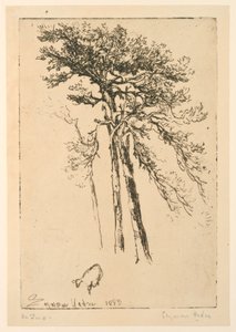 Schottische Kiefern von Francis Seymour Haden