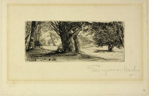 Die Stechpalmenfelder von Francis Seymour Haden