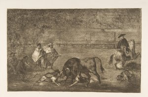 Tafel C: Die Hunde auf den Stier losgelassen, ca. 1816