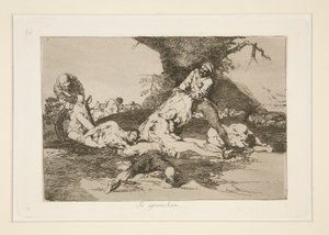 Sie machen Gebrauch davon, Platte 16 aus Los desastres de la guerra (Die Schrecken des Krieges) von Francisco de Goya